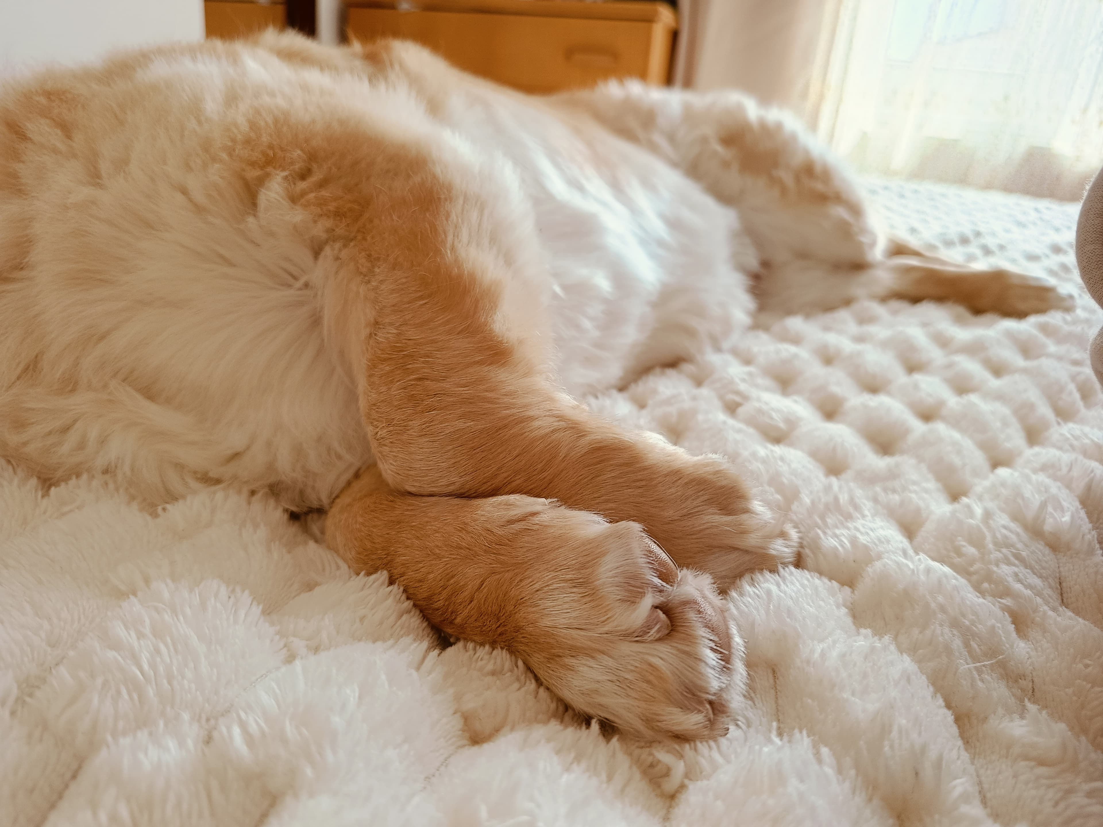 relax - 5